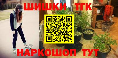 индика Изобильный