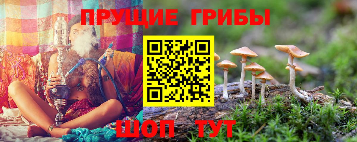 Псилоцибиновые грибы ЛСД  Вход с VPN  где найти наркотики  Лысьва 